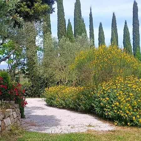 Apartamento Poggio Il Poderuccio