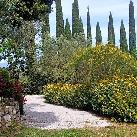 Poggio Il Poderuccio *
